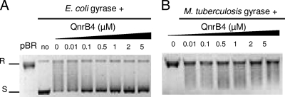 FIG. 6.