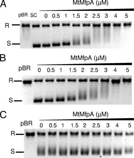 FIG. 4.