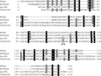 FIG. 8.