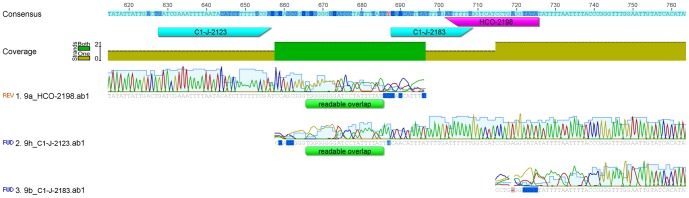 Figure 5