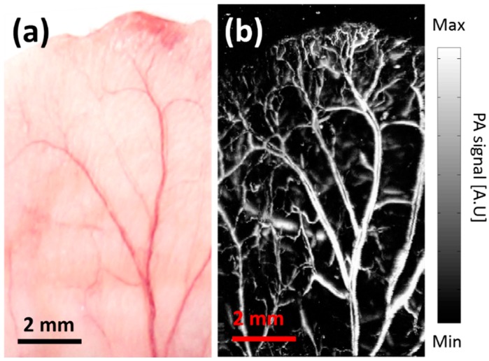 Figure 7