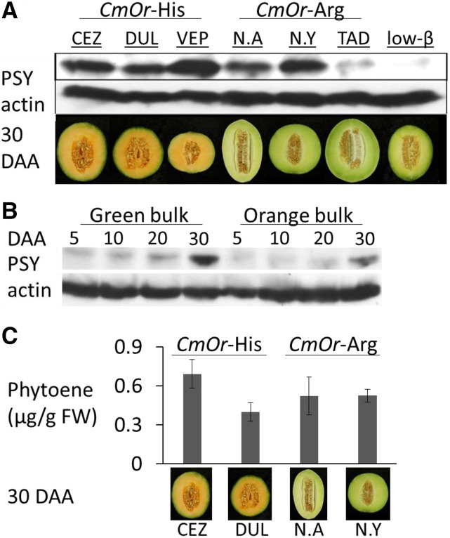 Figure 6.