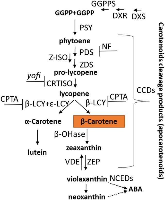 Figure 1.