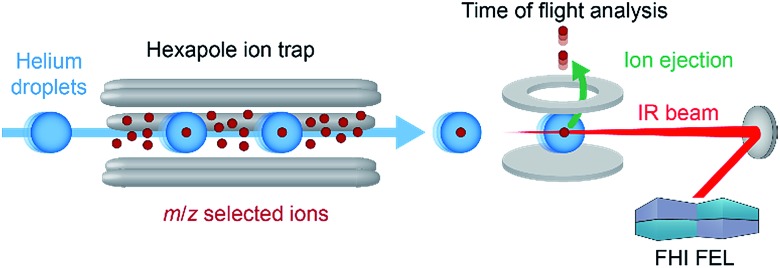 Fig. 4