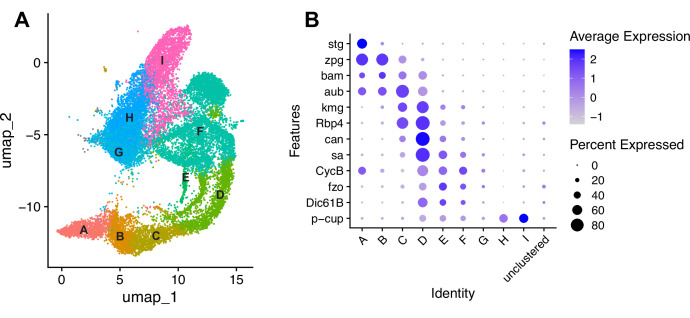 Figure 4—figure supplement 1.