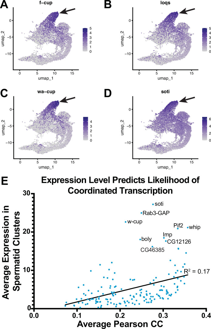 Figure 5—figure supplement 1.