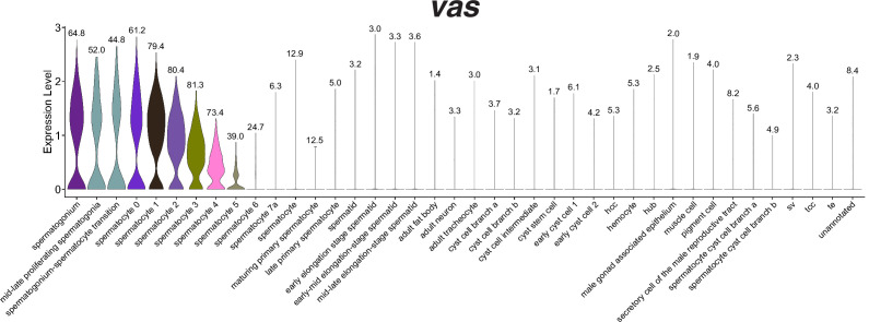 Figure 1—figure supplement 1.