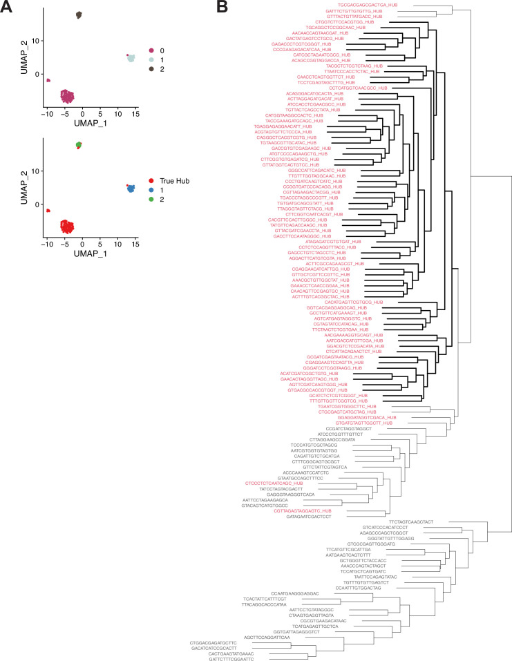 Figure 7—figure supplement 2.