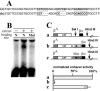 FIG. 7.