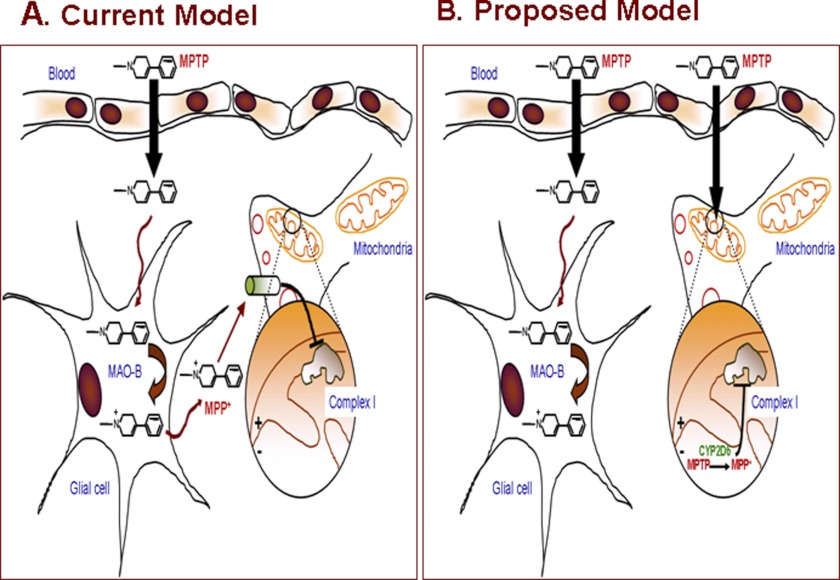 FIGURE 13.