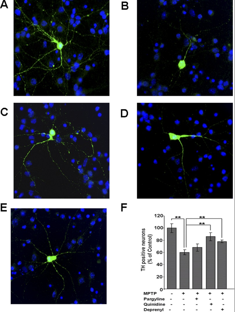 FIGURE 12.