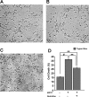 FIGURE 10.