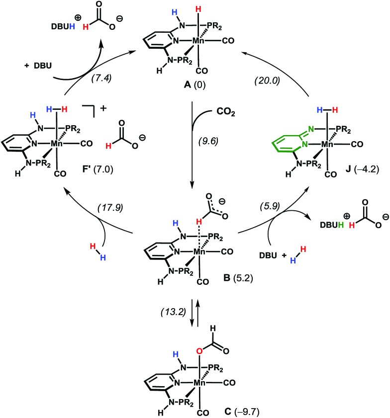 Scheme 4