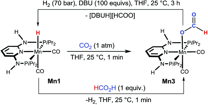 Scheme 2