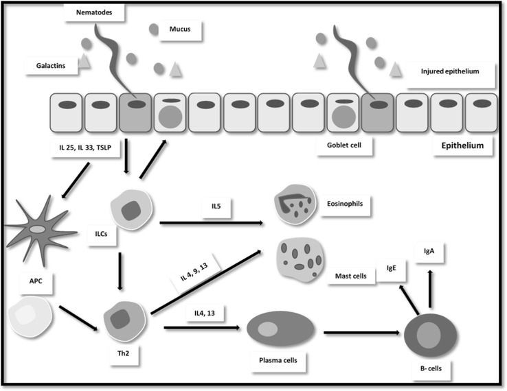 Fig. 1