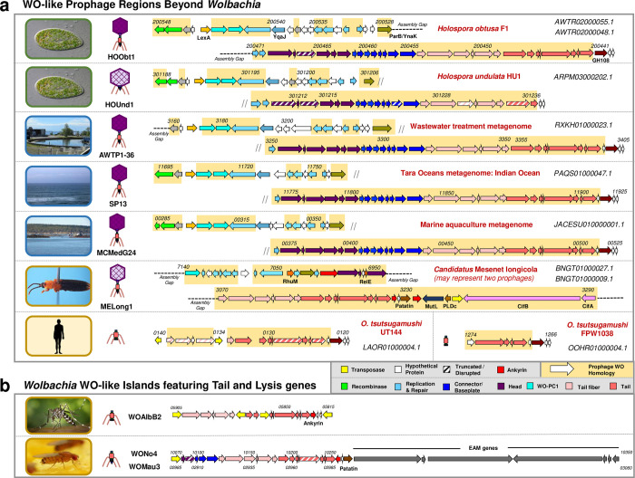 Fig 6