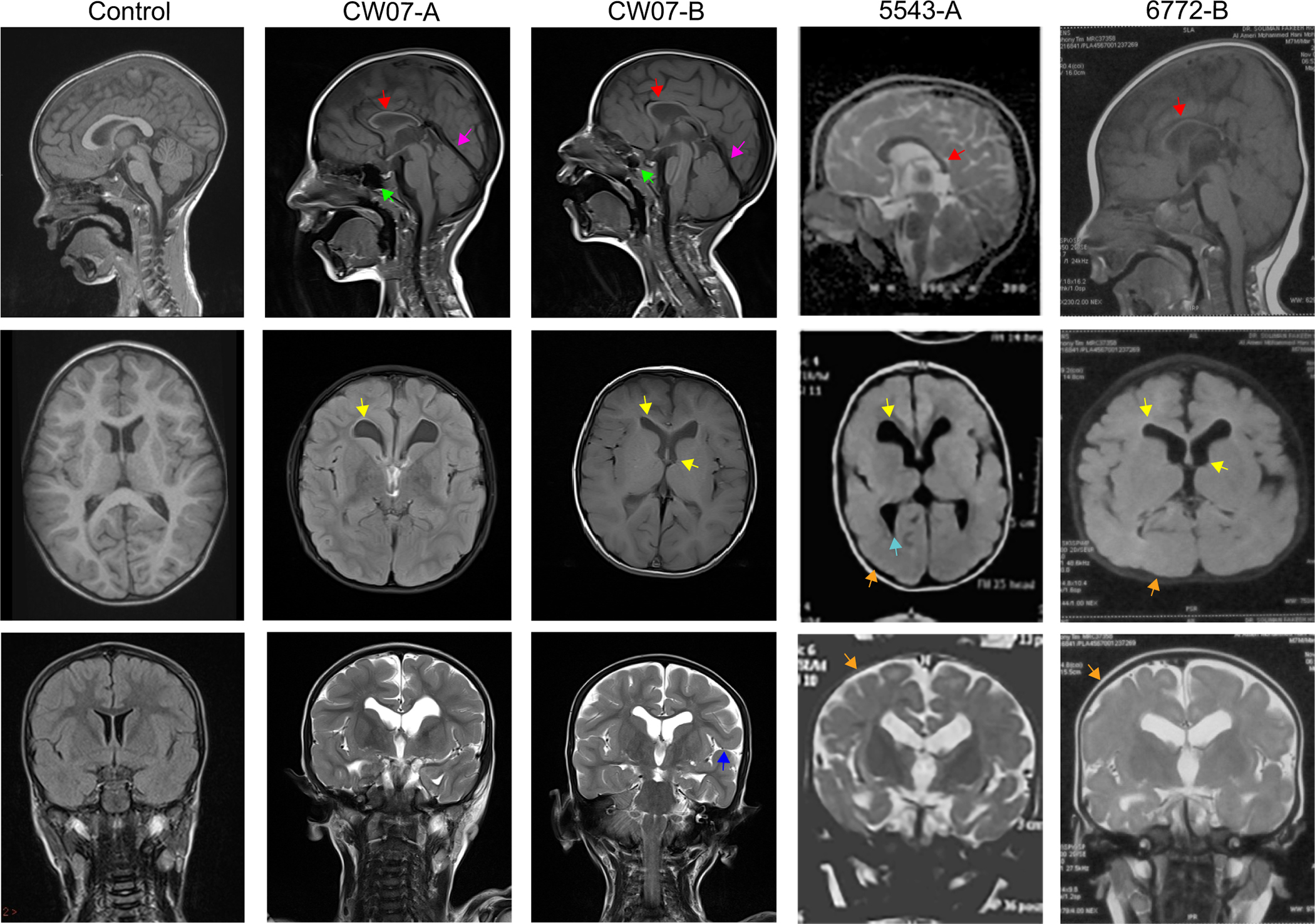 Figure 2.