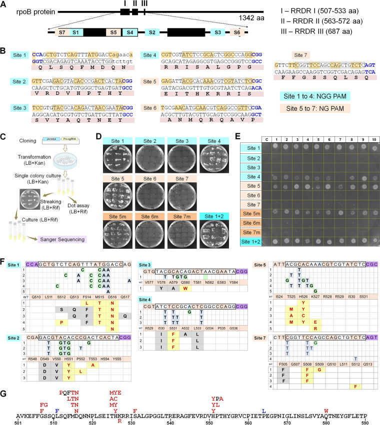 FIG 6