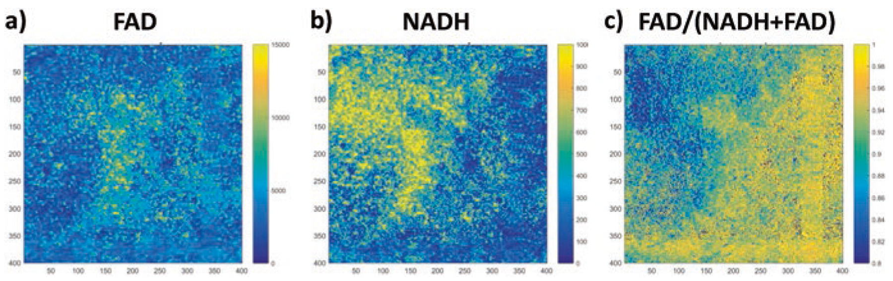 Fig. 3