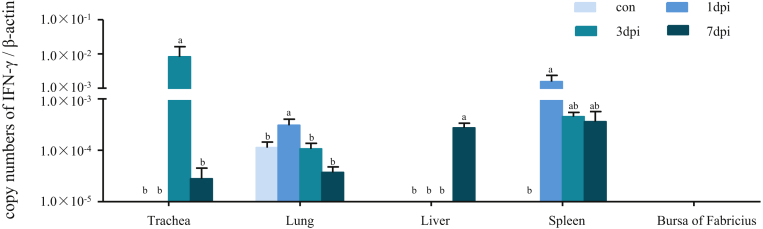 Figure 4