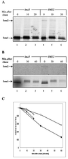 FIG. 5.