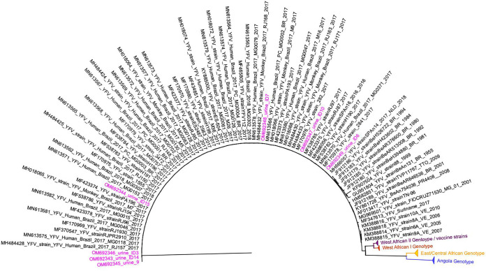 FIG 2