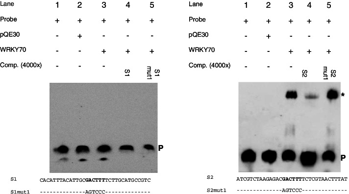 Fig. 11