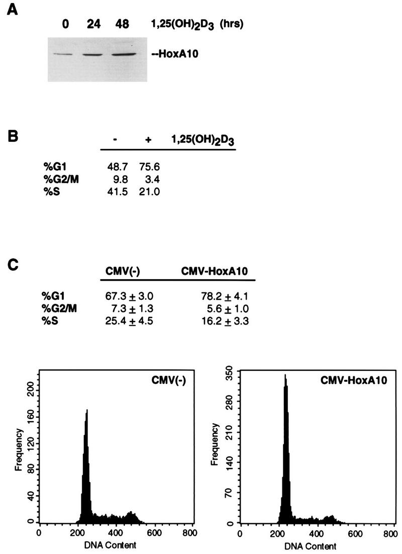 FIG. 6