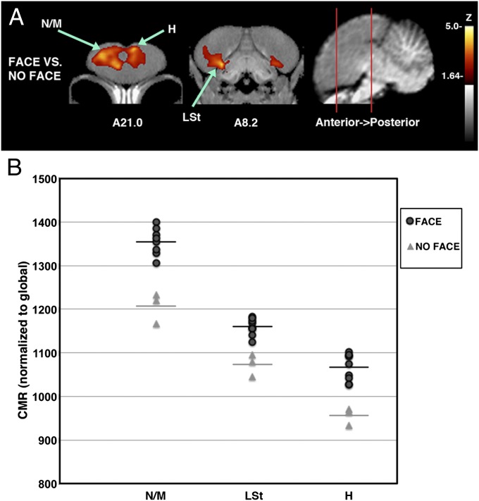 Fig. 3.