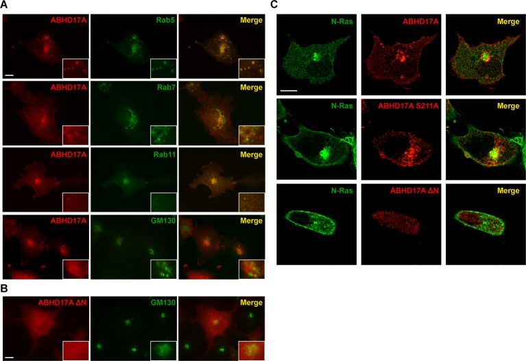 Figure 4—figure supplement 2.