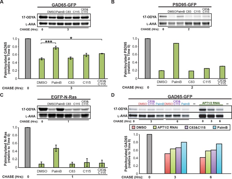 Figure 2—figure supplement 1.