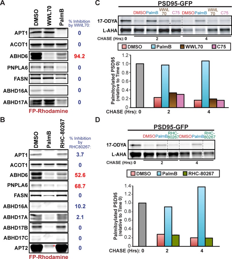 Figure 3—figure supplement 1.