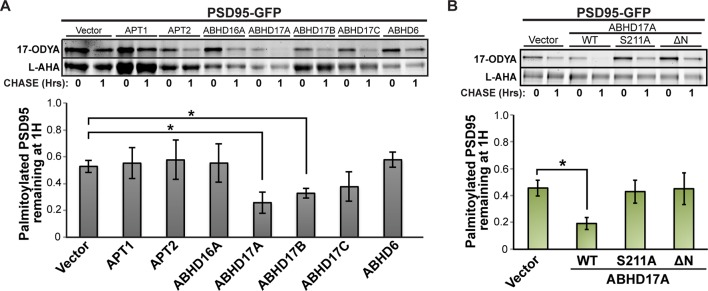 Figure 4—figure supplement 1.