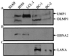 FIG. 8