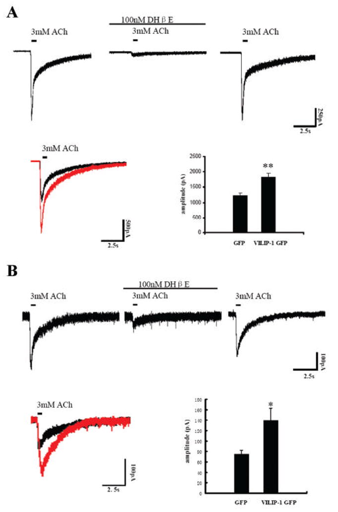 Fig. 6