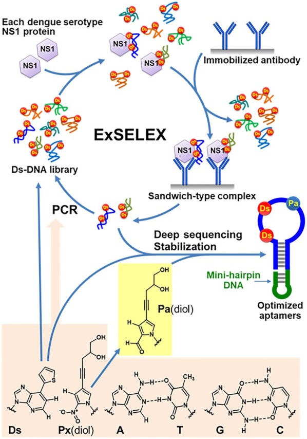 Figure 1.