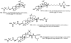 Figure 28