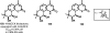Figure 31