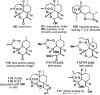 Figure 22