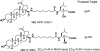 Figure 27