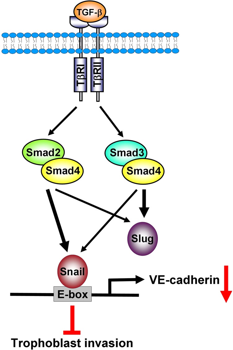 FIGURE 9.