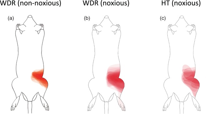 Figure 7.