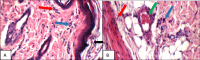 Fig. 13