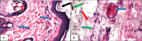 Fig. 9