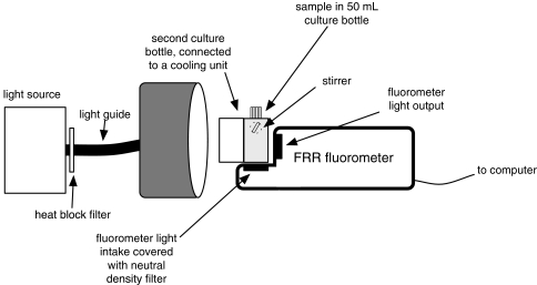 Fig. 1