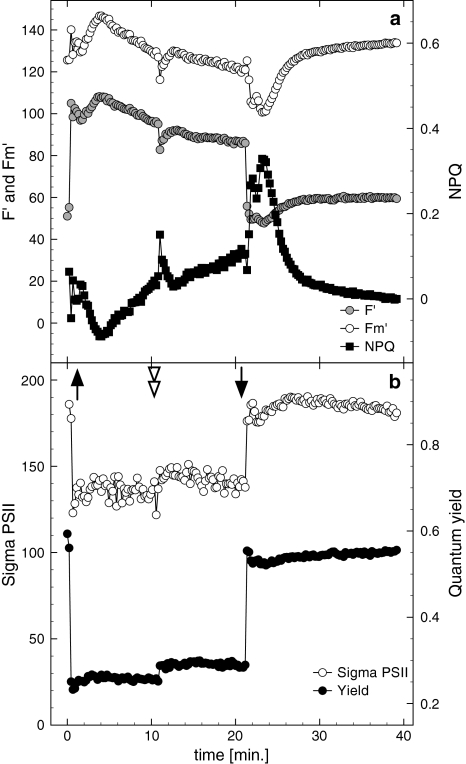 Fig. 2