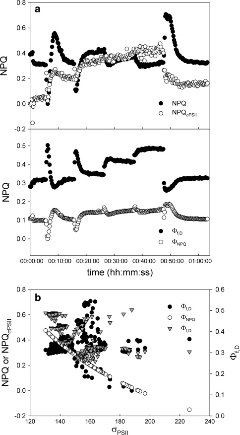 Fig. 8