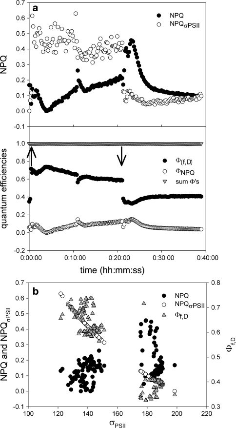 Fig. 7