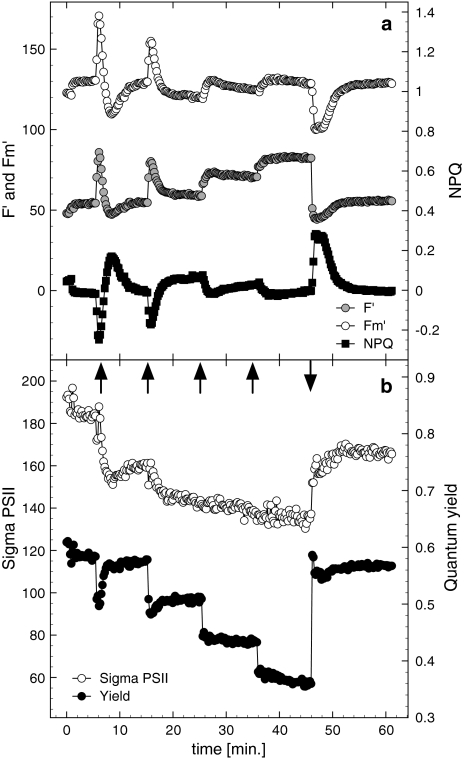 Fig. 3