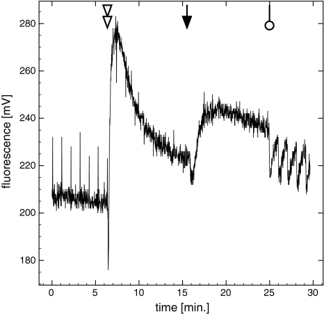 Fig. 6